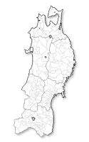 �����������Ͽ��Ǻ� (���Ͽ� + �Զ���)