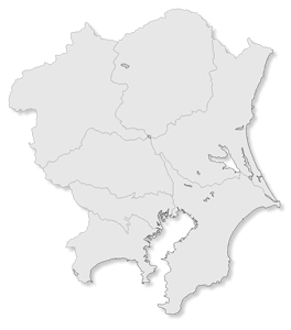�����������Ͽ��Ǻ� (���졼��)